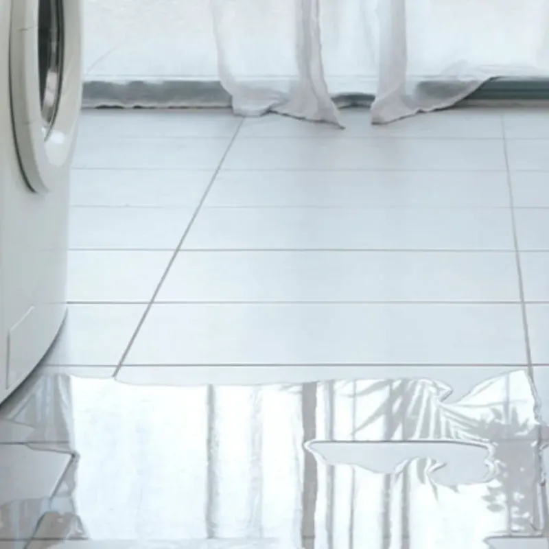 Appliance Leak Cleanup in Lake Lucerne, FL