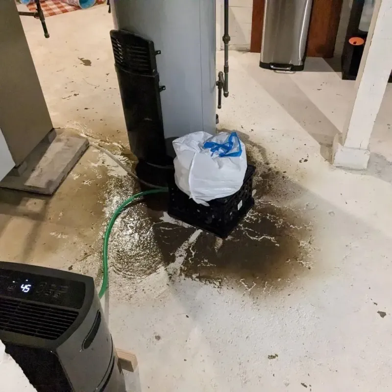 Sewage Backup Cleanup Service in Lake Lucerne, FL